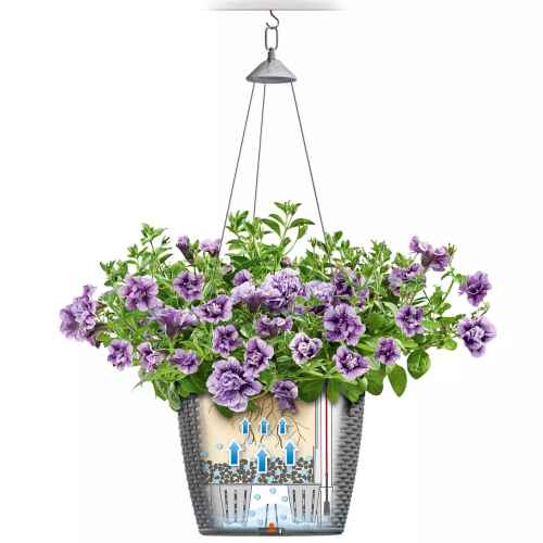 Representation of the Movement of Water